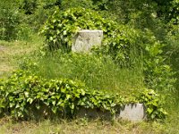 01-88 Tőrei Tóth Béla